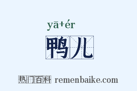 鸭儿是什么意思的图片